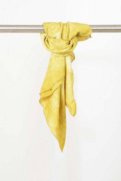 Sunshine Yellow Silk Vegetable Print Stole